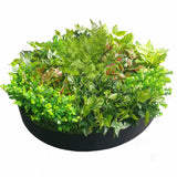 Artificial Green Wall Disk Art 80cm - Mixed Fern - Front View
