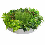Artificial Green Wall Disk Art 80cm - Mixed Fern - Side View