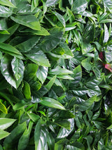 Green Meadows Vertical Garden UV Stabilised 1m X 1m - Front View