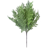 Faux Maden Hair Fern Stem 40cm - Front View