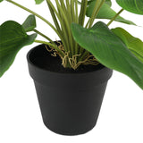 Artificial Flowering White & Orange Peace Lily / Calla Lily Plant 50cm - Front View
