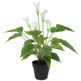 Artificial Flowering White Peace Lily / Calla Lily Plant 50cm - Side View