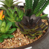 Potted Artificial Succulents with Round Decorative Bowl 19cm - Front View