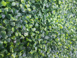 Mixed Boxwood Hedge Panels / Screens UV Resistant 1m x 1m - Front View