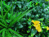 Yellow Rose Vertical Garden / Green Wall UV Resistant Sample - Side View