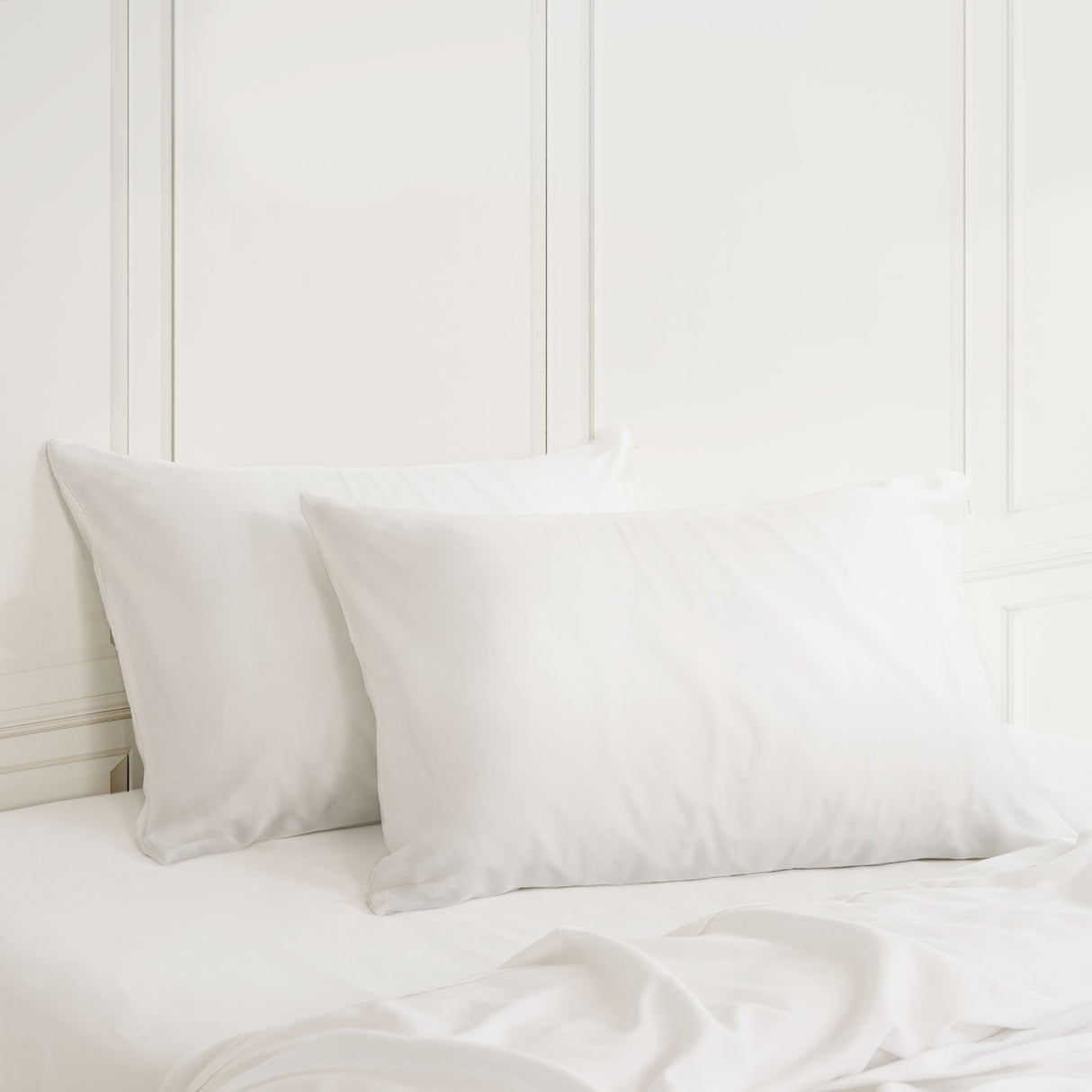 MULBERRY SILK PILLOW CASE TWIN PACK - SIZE: 51X76CM - IVORY-1951134812307853316