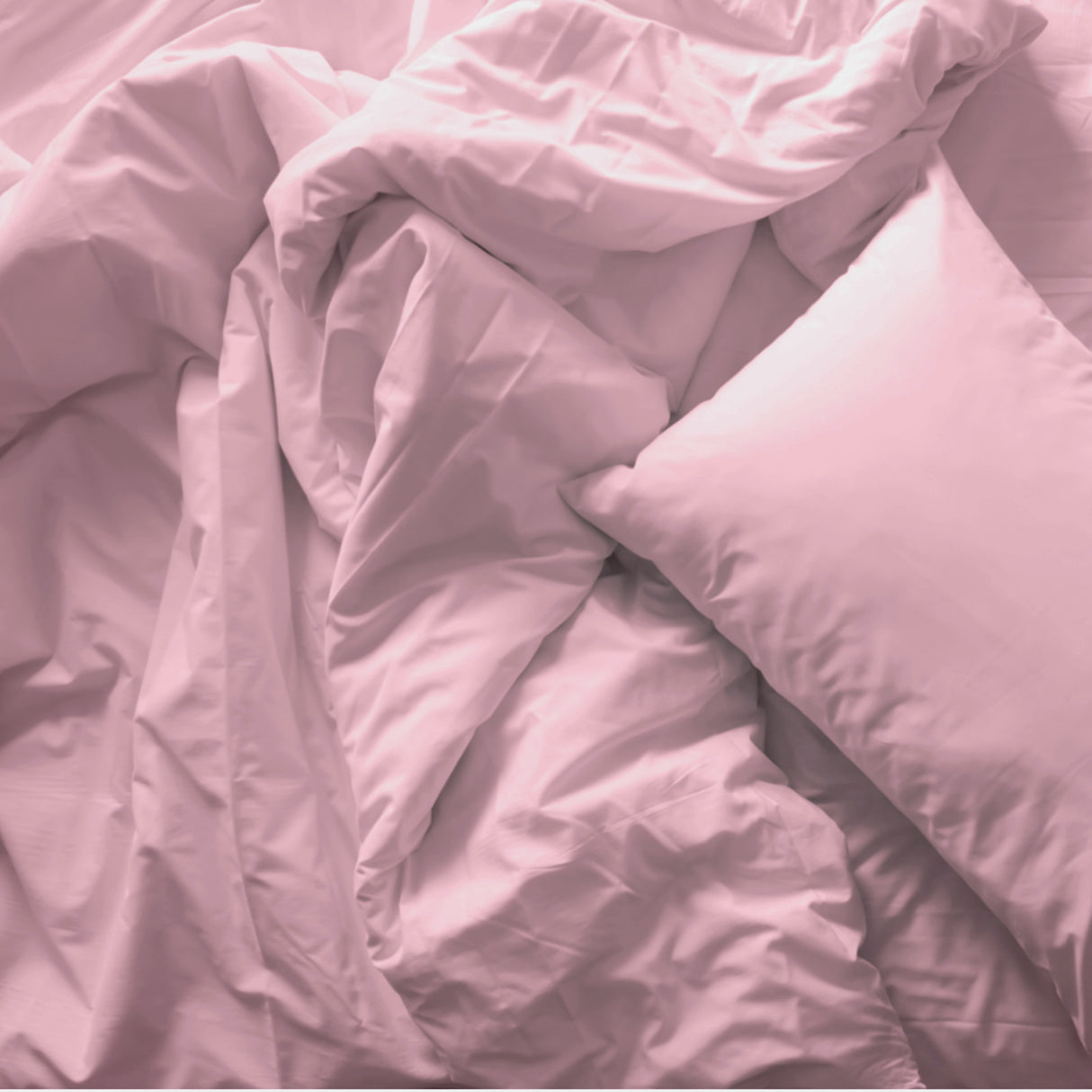 Royal Comfort Blended Bamboo Quilt Cover Sets -Blush-Queen-1951134819853406211