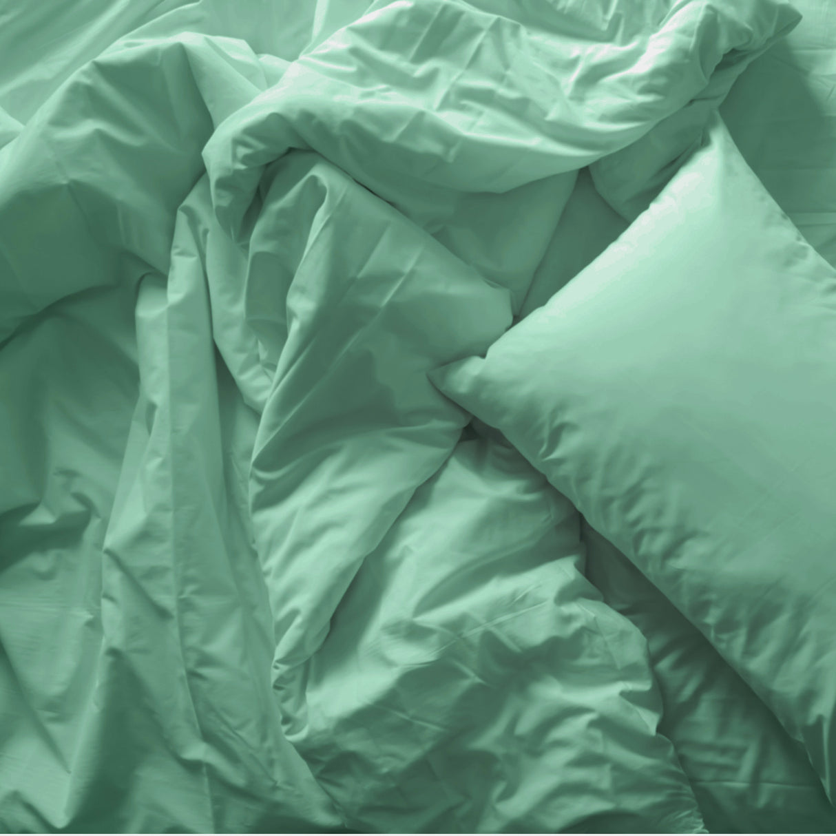 Royal Comfort Blended Bamboo Quilt Cover Sets -Green Mist-Queen-1951134820037955587