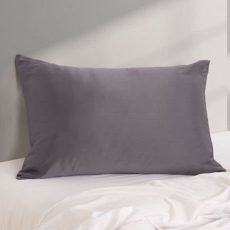 Pure Silk Pillow Case by Royal Comfort-Charcoal-1951134813780054020