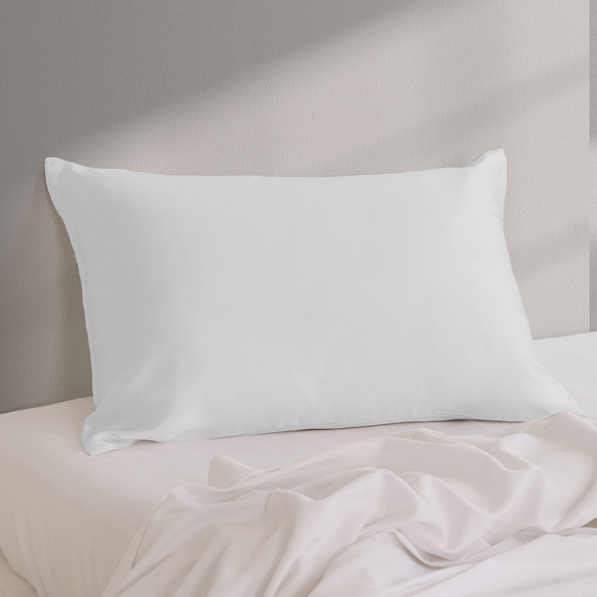 Pure Silk Pillow Case by Royal Comfort-Silver-1951134813960409091
