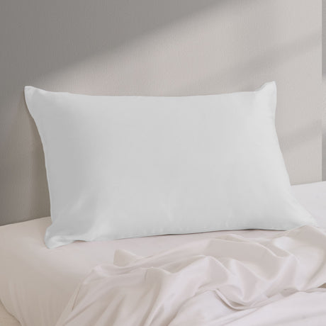 Pure Silk Pillow Case by Royal Comfort-Silver-1951134813960409091