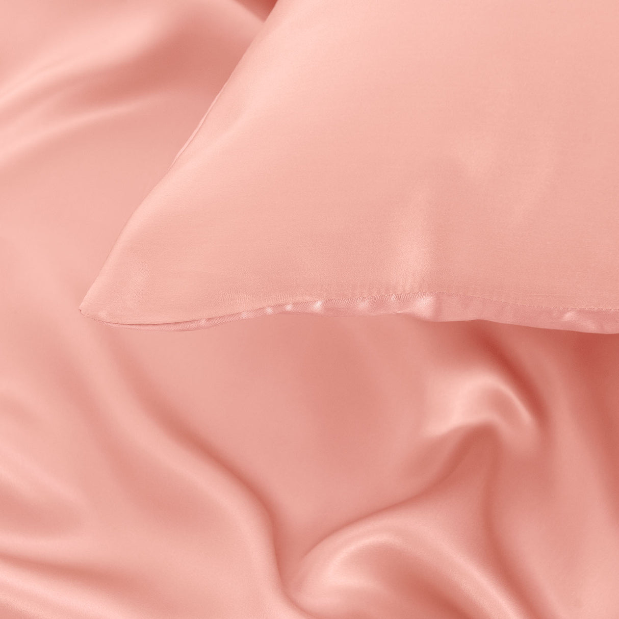 Pure Silk Pillow Case by Royal Comfort-Blush-1951134814153347079
