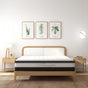 Osteopedic Euro Top Pocket Spring Mattress - Queen