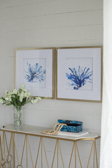 Set of 2 Blue Coral Framed Prints. Add a coastal feel