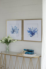Set of 2 Blue Coral Framed Prints. Add a coastal feel - Front View