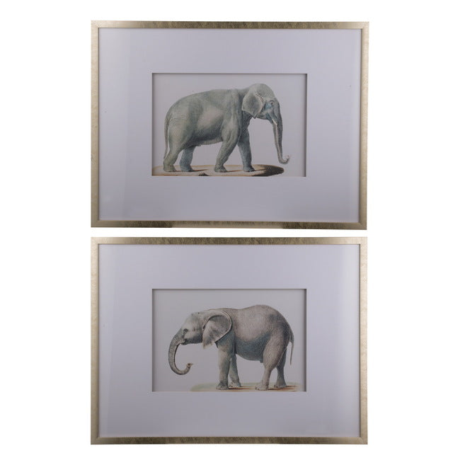 Set of 2 Elephant Framed Prints. Adult Elephant Framed Prints. Quality Frames. ready to hang.