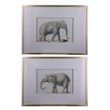 Set of 2 Elephant Framed Prints. Adult Elephant Framed Prints. Quality Frames. ready to hang.