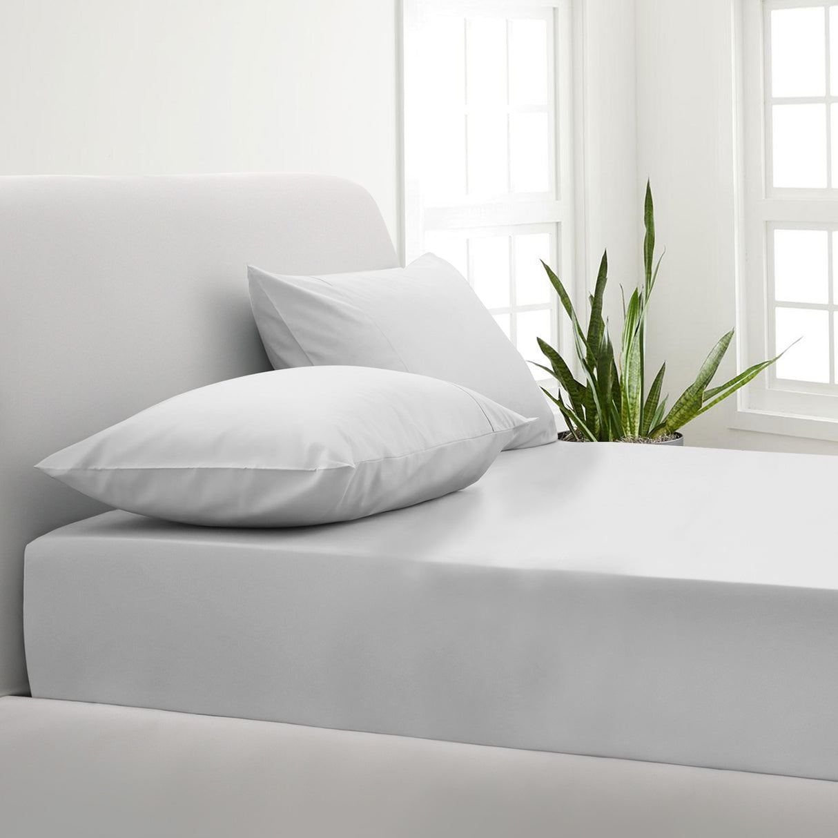 Park Avenue 1000 Thread Count Cotton Blend Combo Set - Double - White-1951134867727192064