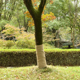 Jute Rolls 2 pcs 1x50 m 100% Jute 200 gsm - Front View