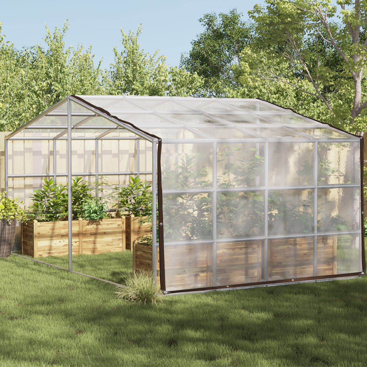 Plant Cover Transparent 4 x 8 m PE