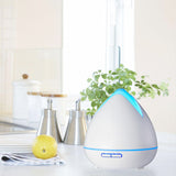 PureSpa Ultrasonic Diffuser  - White - 45-Degree Angle