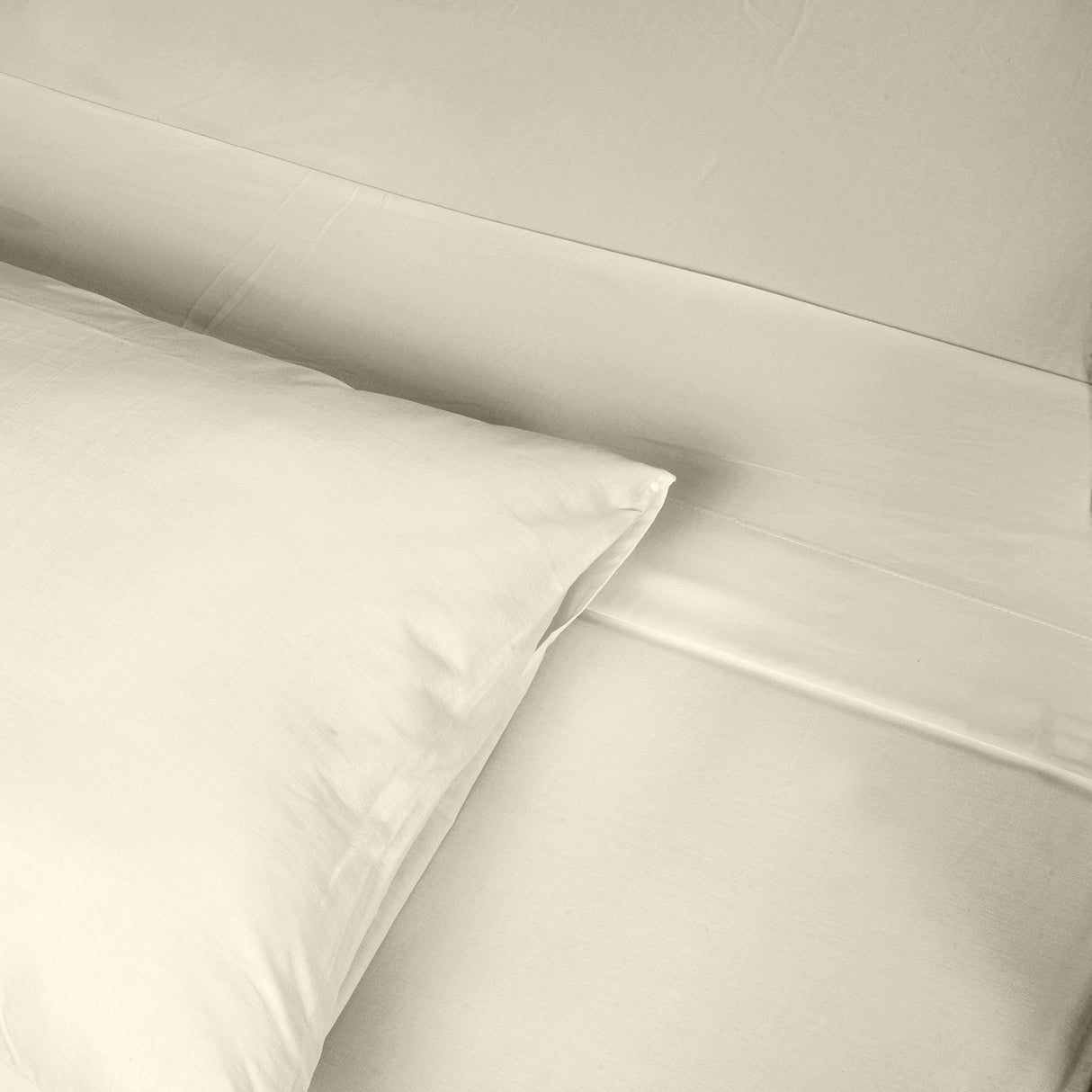 Renee Taylor 1500 Thread count Cotton Blend Sheet sets King Ivory-1951134873129455619