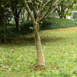 Jute Roll 0.25x100 m 100% Jute 200 gsm - Front View