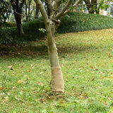 Jute Roll 0.25x50 m 100% Jute 200 gsm - Front View
