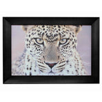 Leopard Portrait Wall Art 110x80cmh. African-themed artwork. Solid  Hardwood Frame. High quality appearance.