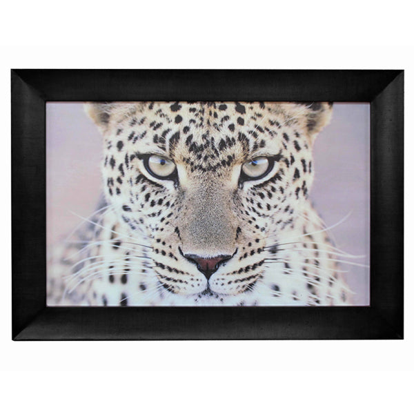 Leopard Portrait Wall Art 110x80cmh. African-themed artwork. Solid  Hardwood Frame. High quality appearance.