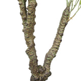 Potted Artificial Eucalyptus Tree (White Box Eucalyptus Albens) 120cm - Front View