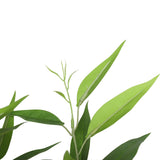 Potted Artificial Eucalyptus Tree (White Box Eucalyptus Albens) 120cm - Side View