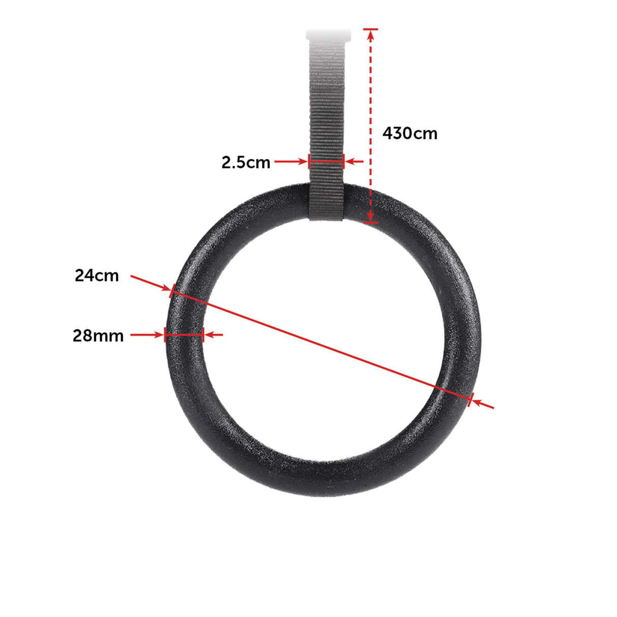 Gymnastic Rings &ndash; Adjustable Exercise Training Rings for Home & CrossFit Workouts