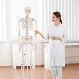 Human Skeleton Anatomical Model 180cm - 45-Degree Angle