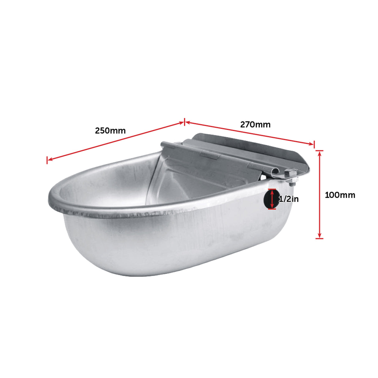 Automatic Water Bowl