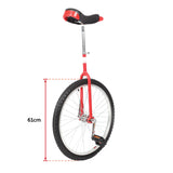 24 Inch Pro Circus Unicycle for Performance Training Indoor Show Use - Extra Image