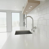 High Reach Swivel Wall Kitchen Laundry Bath Basin Spout - Rear View