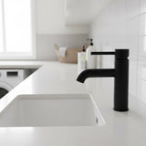 Basin Mixer Tap Faucet -Kitchen Laundry Bathroom Sink - Front View