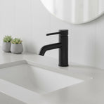 Basin Mixer Tap Faucet -Kitchen Laundry Bathroom Sink