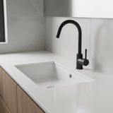 Kitchen Mixer Tap Faucet for Basin Laundry Sink - 45-Degree Angle