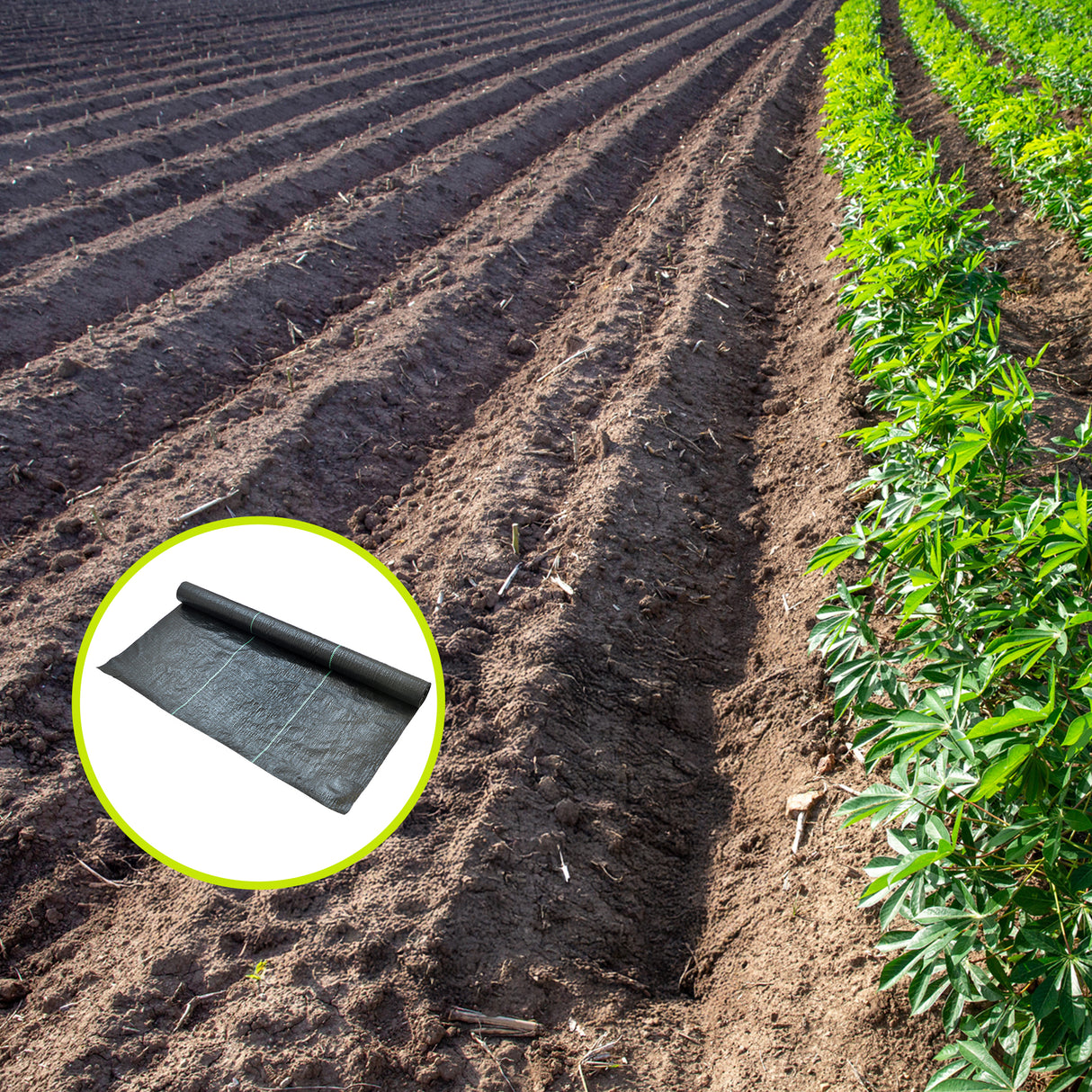 Heavy Duty Weed Control PP Woven Fabric Weed Mat Gardening Plant 1.83m x 30m