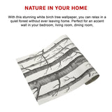 Wallpaper White Birch Tree Non-woven Wall Paper Roll - Rear View