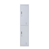 2-Door Vertical Locker for Office Gym Shed School Home Storage