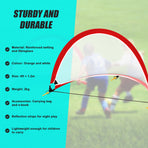 Portable Kids Soccer Goal Set with Cones