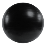 75cm Static Strength Exercise Stability Ball with Pump - Rear View