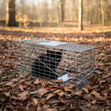 Trap Humane Possum Cage Live Animal Safe Catch Rabbit Cat Hare Fox Bird - Top-Down View