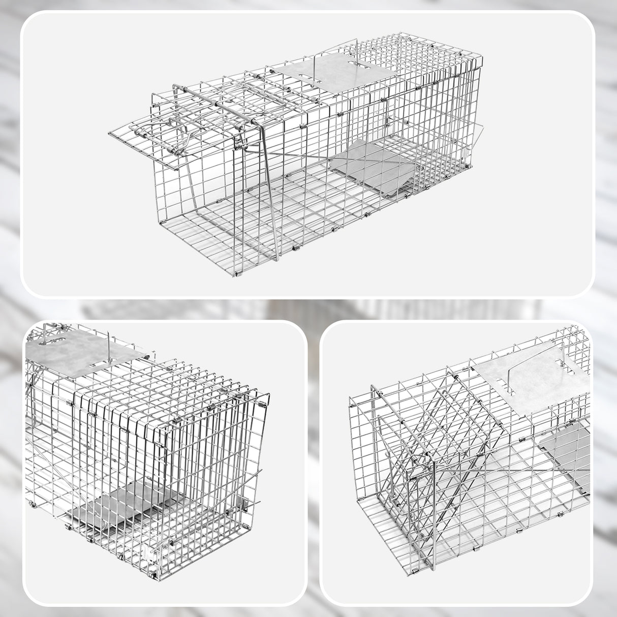 Trap Humane Possum Cage Live Animal Safe Catch Rabbit Cat Hare Fox Bird