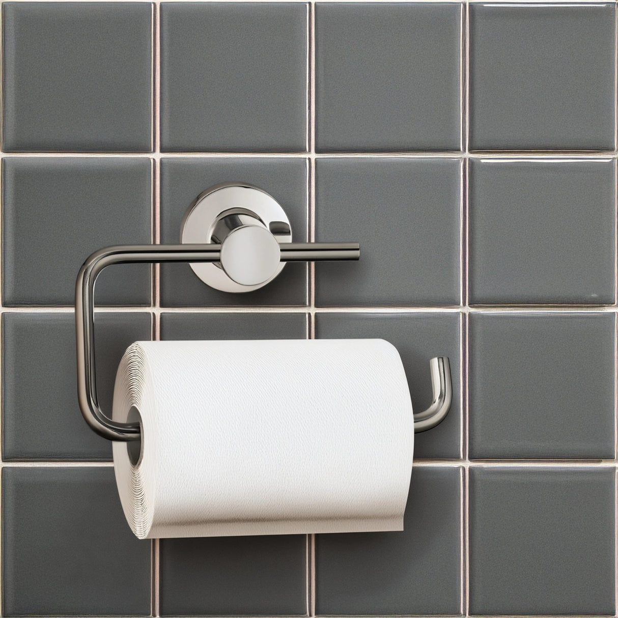 Chrome Toilet Paper Holder