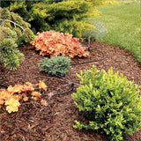 50M Hose Garden Irrigation System Plant Watering DIY Micro Drip Kits - Side View