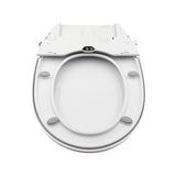 Non Electric Bidet Toilet Seat W/ Cover Bathroom Spray Water Wash
